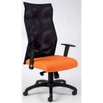 Fauteuil de bureau Hode